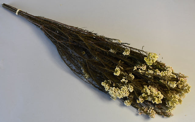 Image for Floare de orez prep.roz