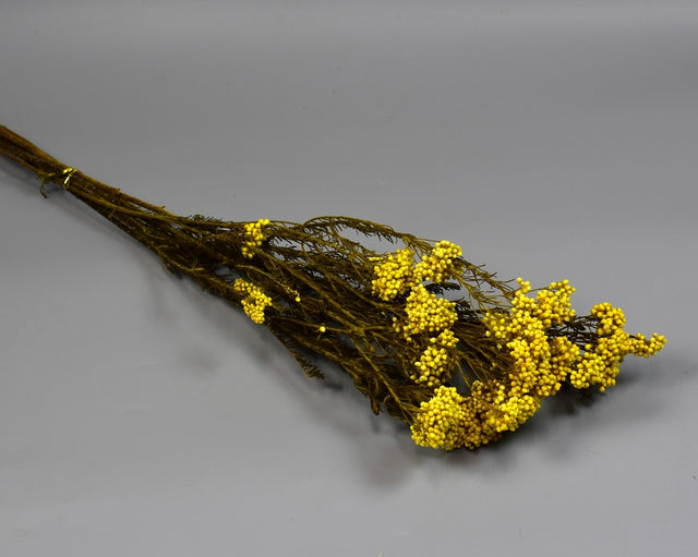 Image for Floare orez prep.galben