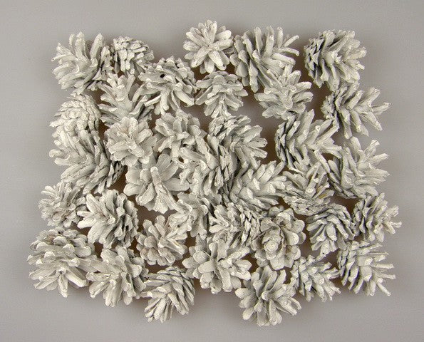 Image for Conuri de pin vopsit alb 1kg