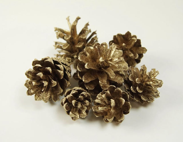 Image for Conuri de pin auriu