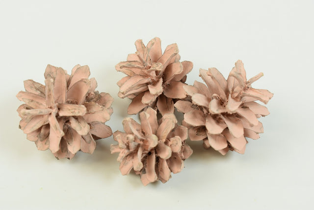 Image for Conuri de pin vopsit piersica