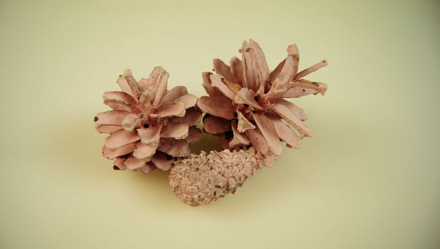 Image for Conuri de pin vopsit roz