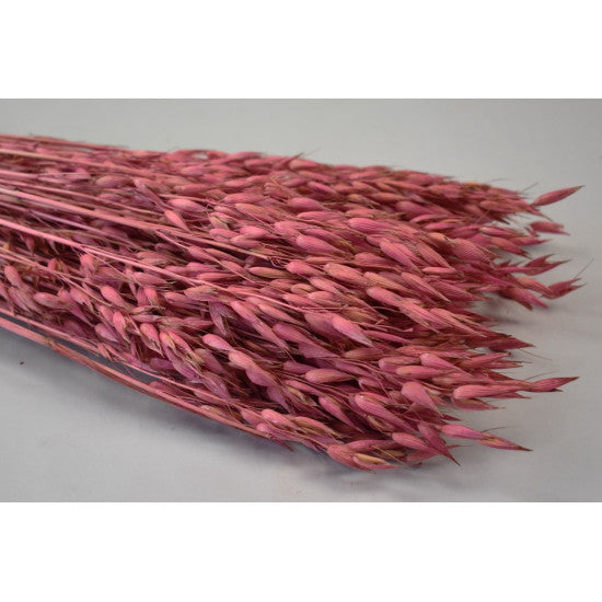 Ovaz 150gr roz