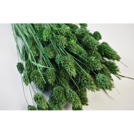 Tallaris 100gr verde inchis