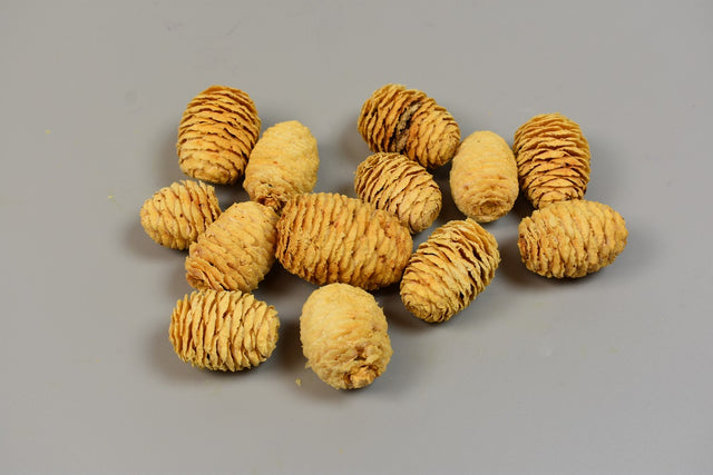 Image for Sabulosum crem