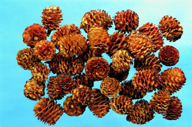 Image for Sabulosum natur