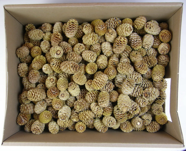 Image for Sabulosum natur 2.7kg