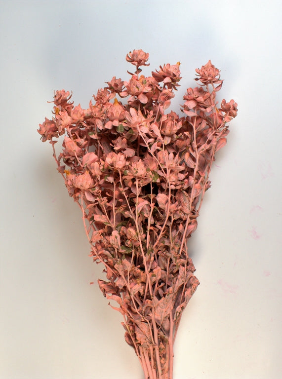 Image for Sofran 150gr somon