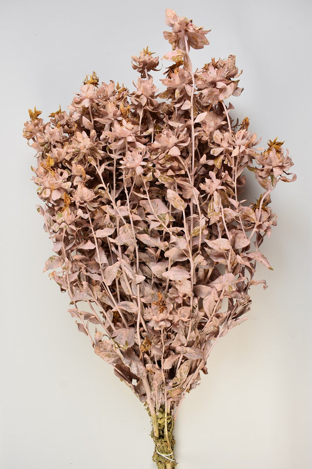 Image for Sofran 150gr vopsit roz