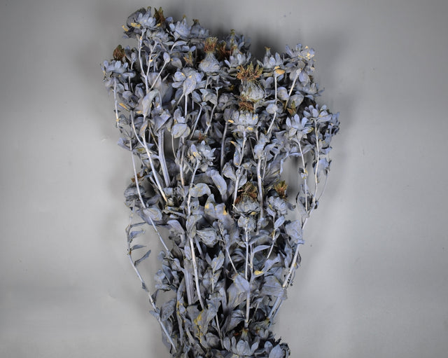 Image for Sofran150gr vopsit very peri