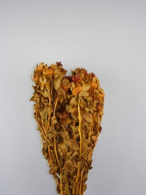 Image for Sofran 150gr portocaliu