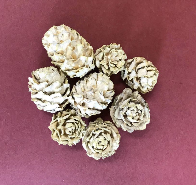 Image for Salignum vopsit alb