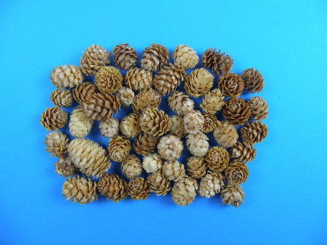 Image for Salignum crem