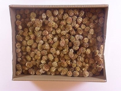 Image for Salignum natur 2kg