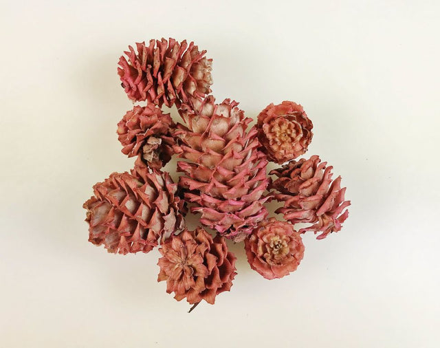 Image for Salignum roz