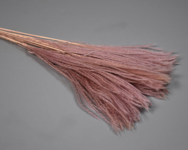 Image for Iarba matase mov