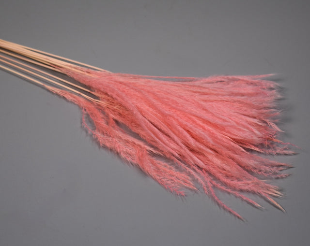 Image for Iarba matase roz