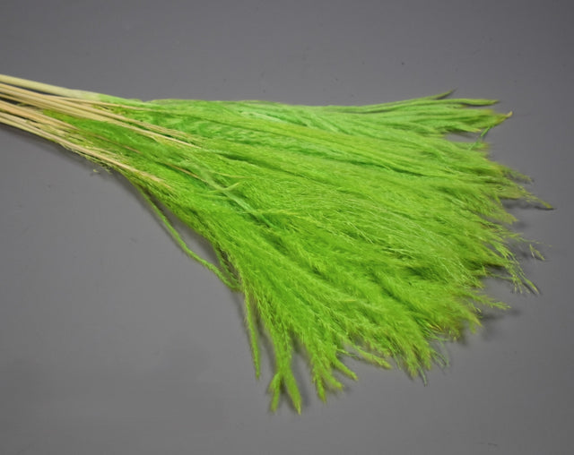 Image for Iarba matase verde deschis