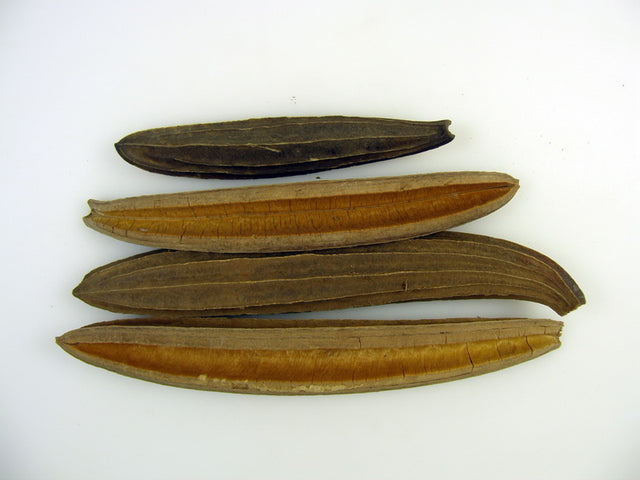 Image for Sete sangria natur