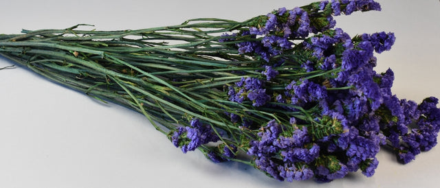 Image for Statice sinuata prep.albastru