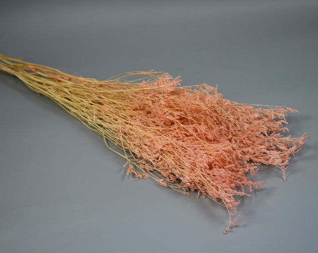 Image for Limonium latifolium prep. piersica