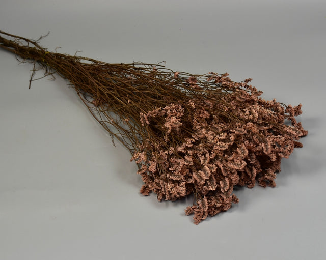 Image for Limonium sinensis prep. cappuccino