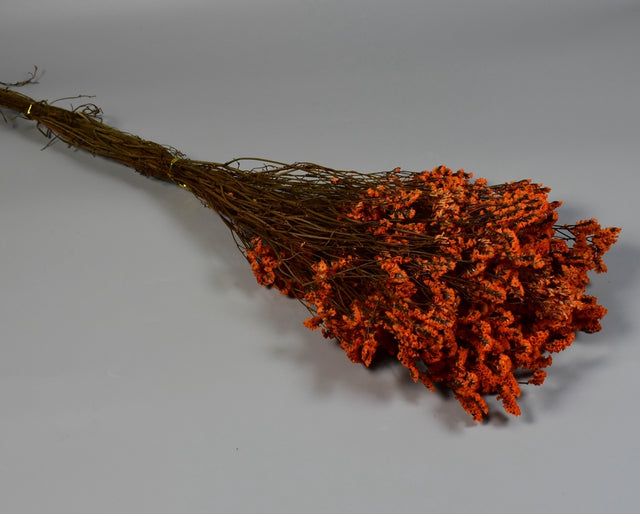 Image for Limonium sinensis prep.portocaliu