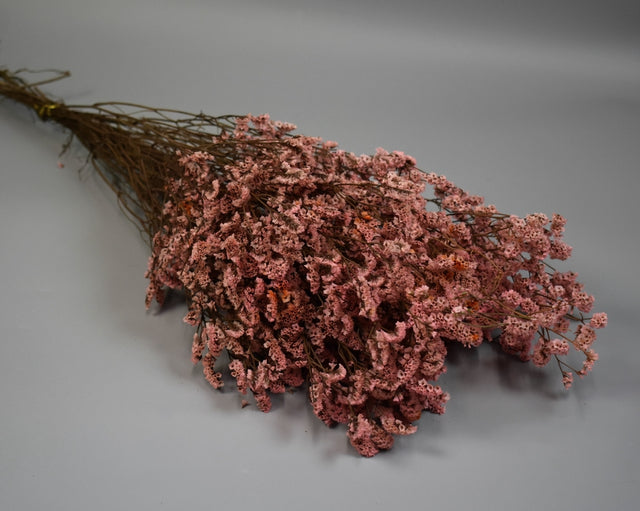 Image for Limonium sinensis prep. roz