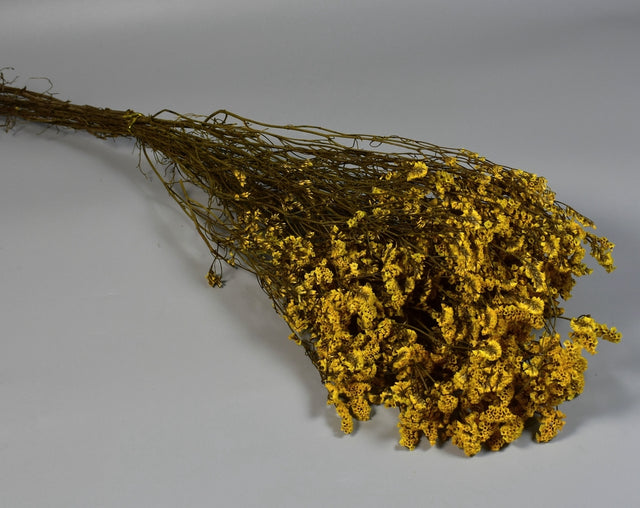 Image for Limonium sinensis prep. galben