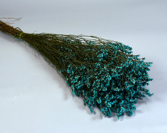 Image for Limonium sinensis prep. albastru