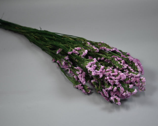 Image for Limonium sinuatum prep. roz