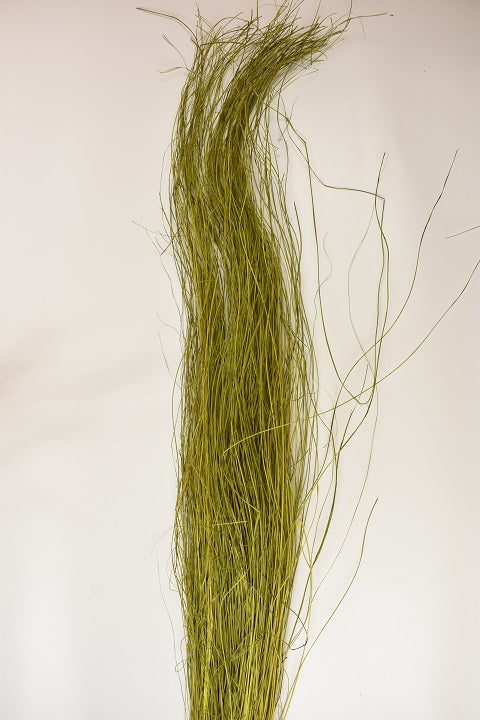 Image for Iarba Spagetti 50g 120cm verde muschi