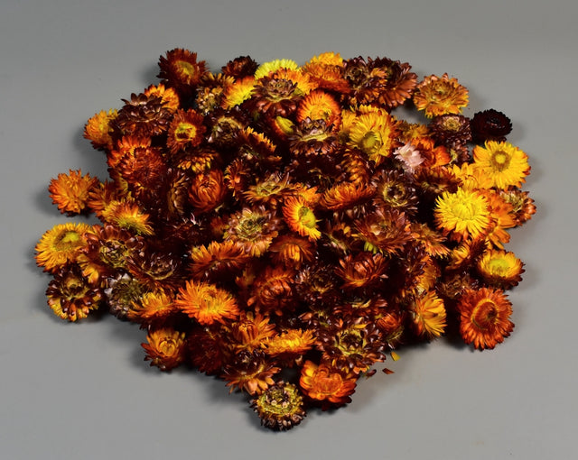 Capete flori de paie natur portocaliu