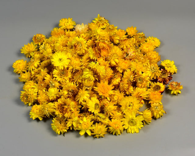 Image for Capete flori de paie galben natur