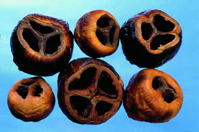 Image for Talami natur