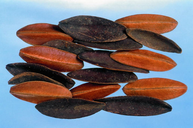 Image for Tangle wing crem