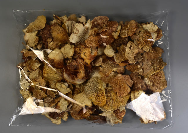 Image for Iasca inalbit