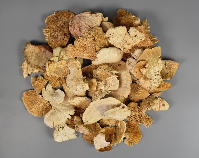 Image for Iasca mini inalbit