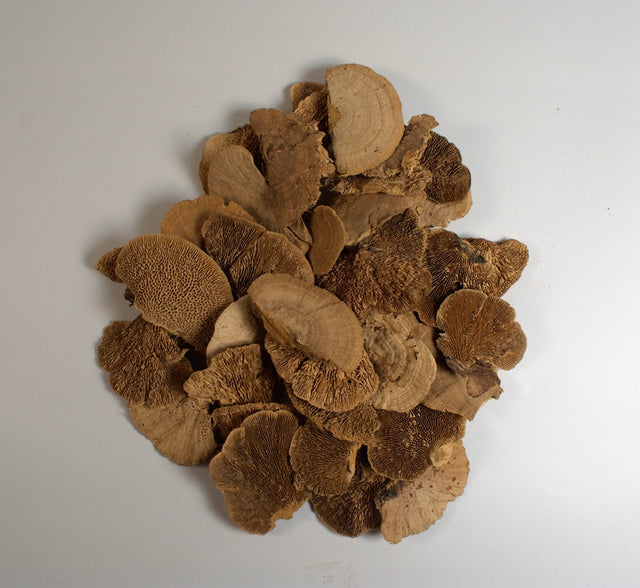 Image for Iasca mini natur