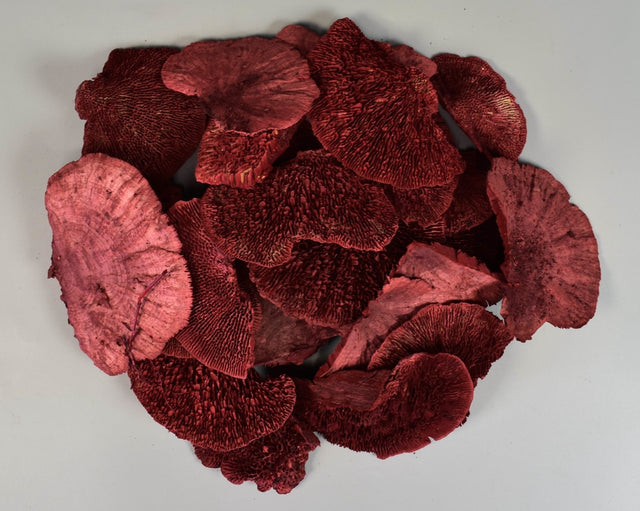 Image for Iasca rosu