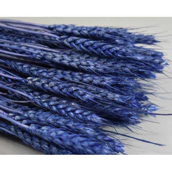 Grau fara arifte 150g inalbit albastru