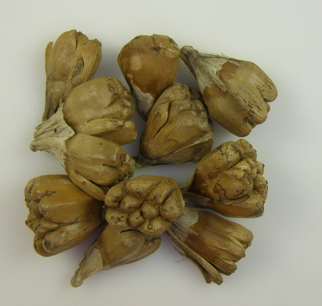 Image for Camel fruit natur