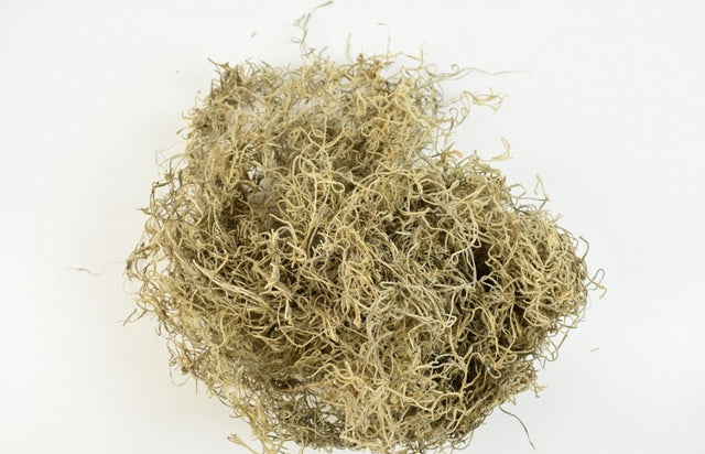 Tillandsia natur 0,7kg