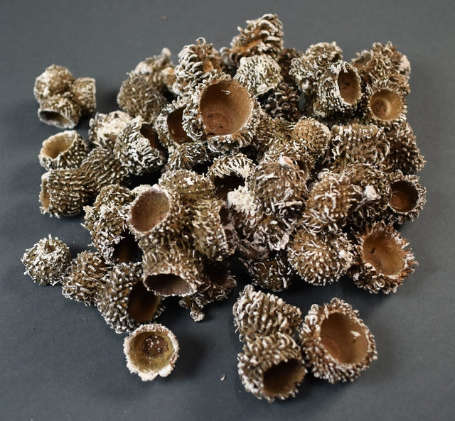 Image for Cupa de ghinda inzapezit