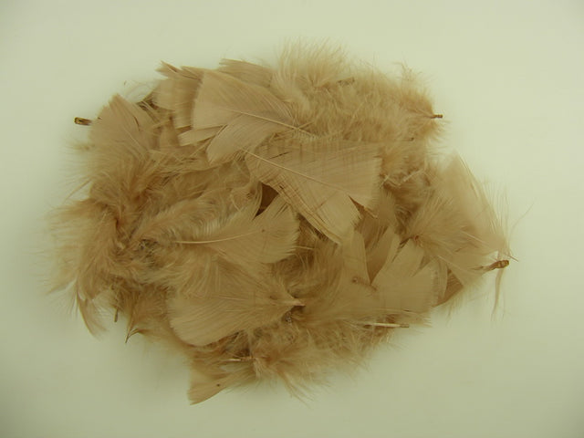 Image for Pene 10gr. cappuccino