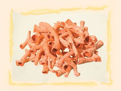 Image for Topy inalbit cul. caisei