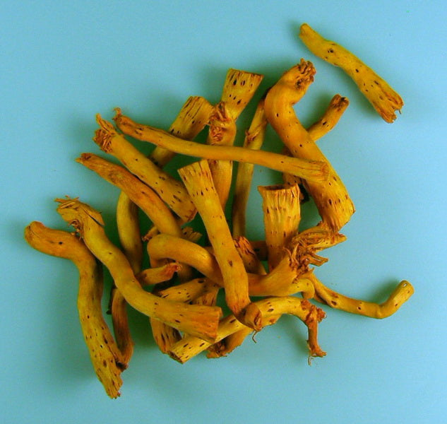 Image for Topy inalbit portocaliu