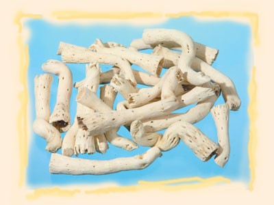 Image for Topy inalbit