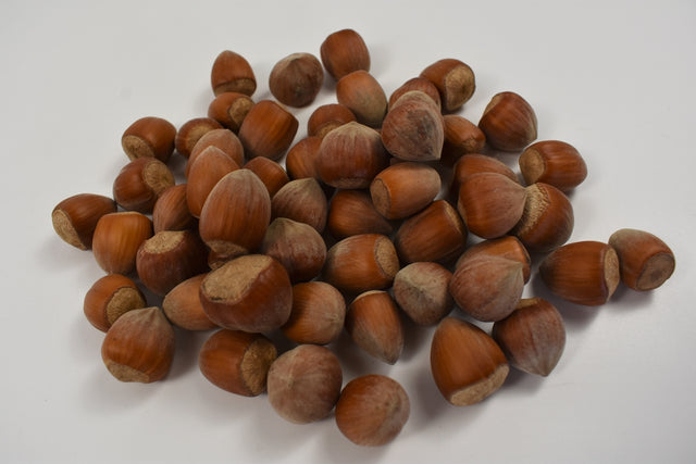 Image for Alun turcesc natur