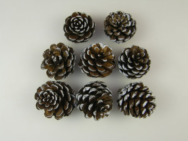 Image for Conuri jneapan inzapezit